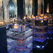 corporate events catering sw london
