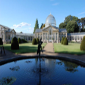 wedding caterers sw london