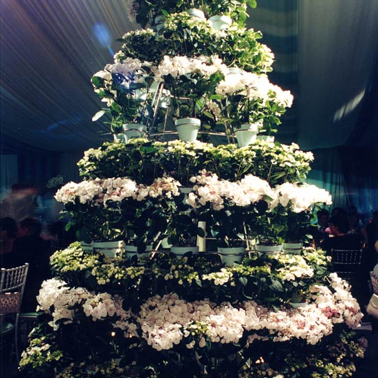 weddings