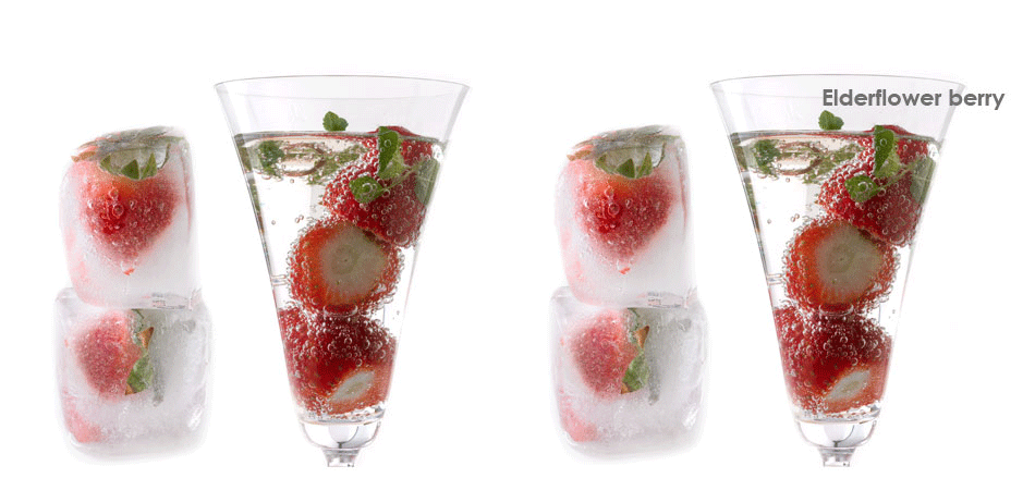 elderflower-bubbly