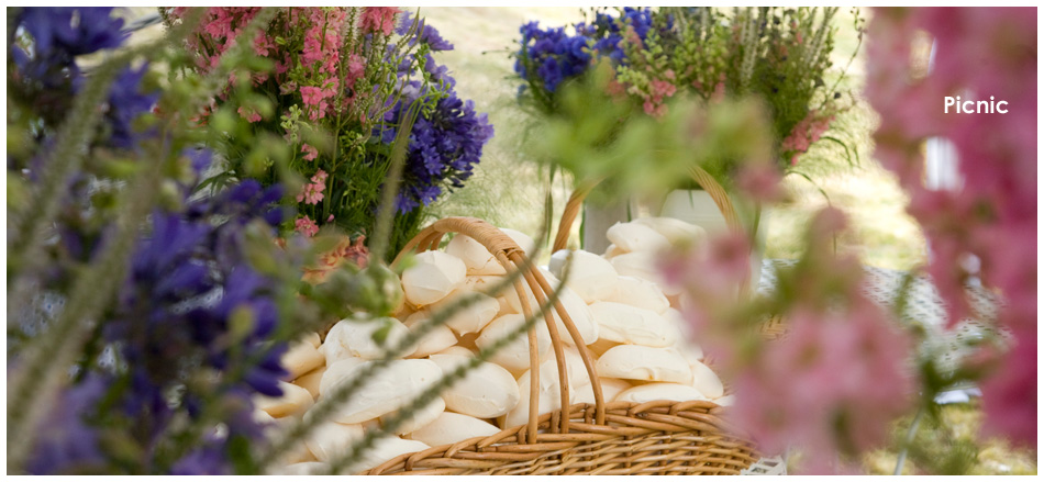 flowers7_0