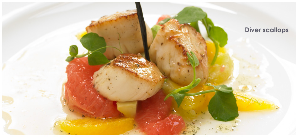 starter4_0