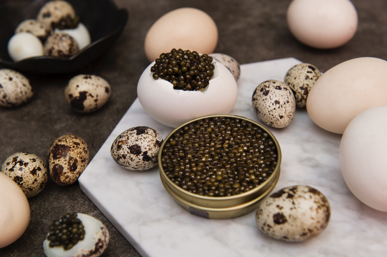 caviar-egg